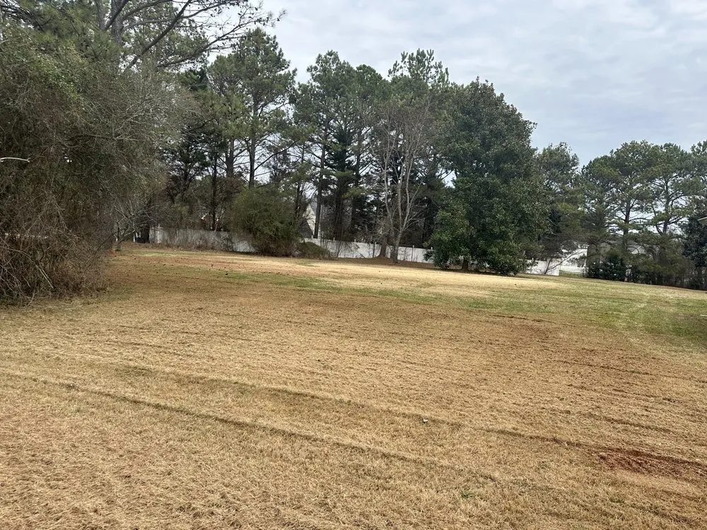 Expert yard maintenance experts serving Forest Park, GA - Vicarious Lawn Care