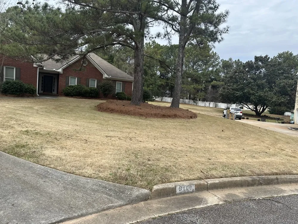 Reliable yard cleanup service in Forest Park, GA by Vicarious Lawn Care