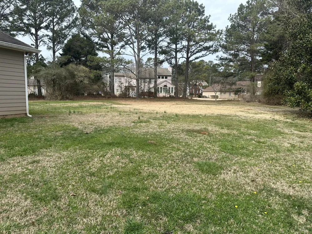 Affordable lawn care service in Forest Park, GA - Vicarious Lawn Care