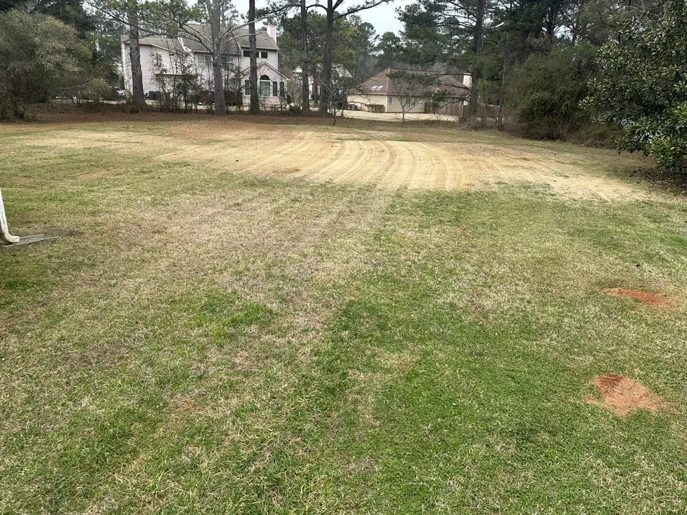 Local yard maintenance in Forest Park, GA by Vicarious Lawn Care