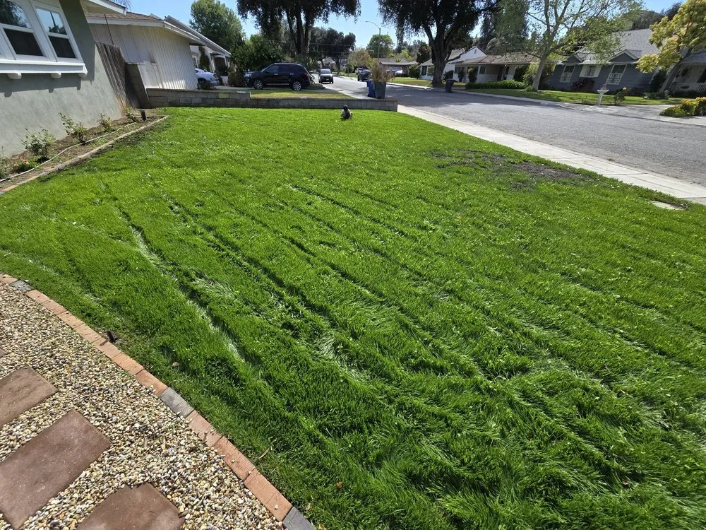 Reliable landscape design in Riverside, CA - Vicente Gardening Service