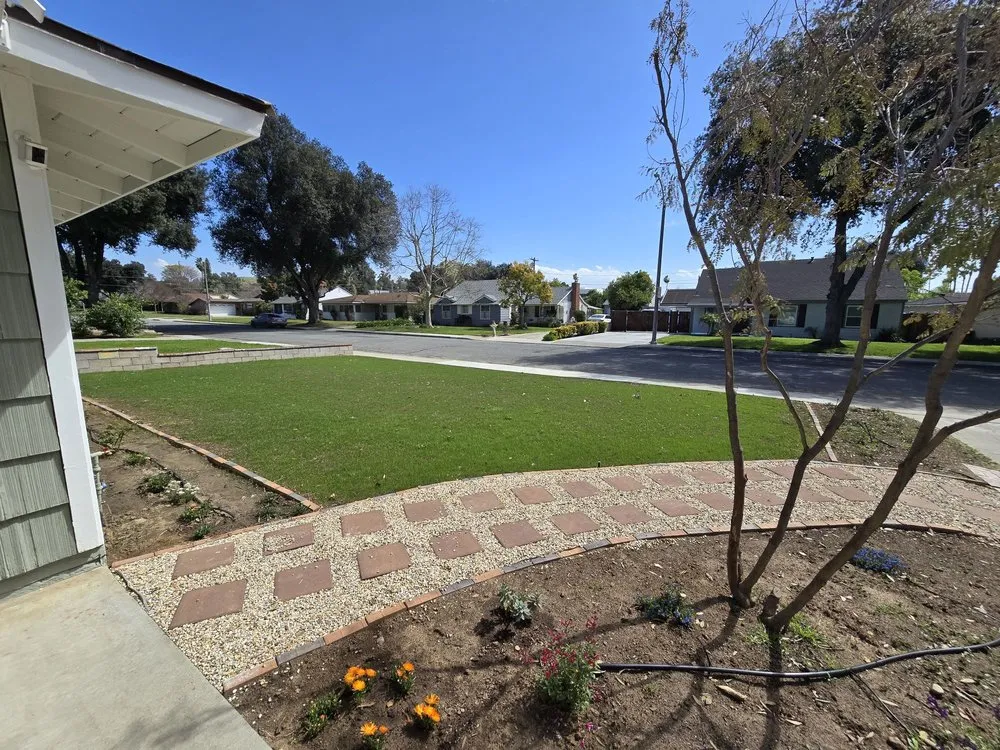Affordable yard maintenance experts serving Riverside, CA - Vicente Gardening Service