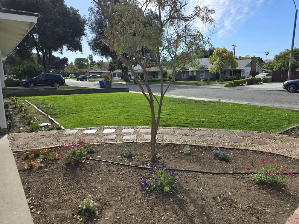 Reliable yard maintenance for beautiful yards in Riverside, CA by Vicente Gardening Service