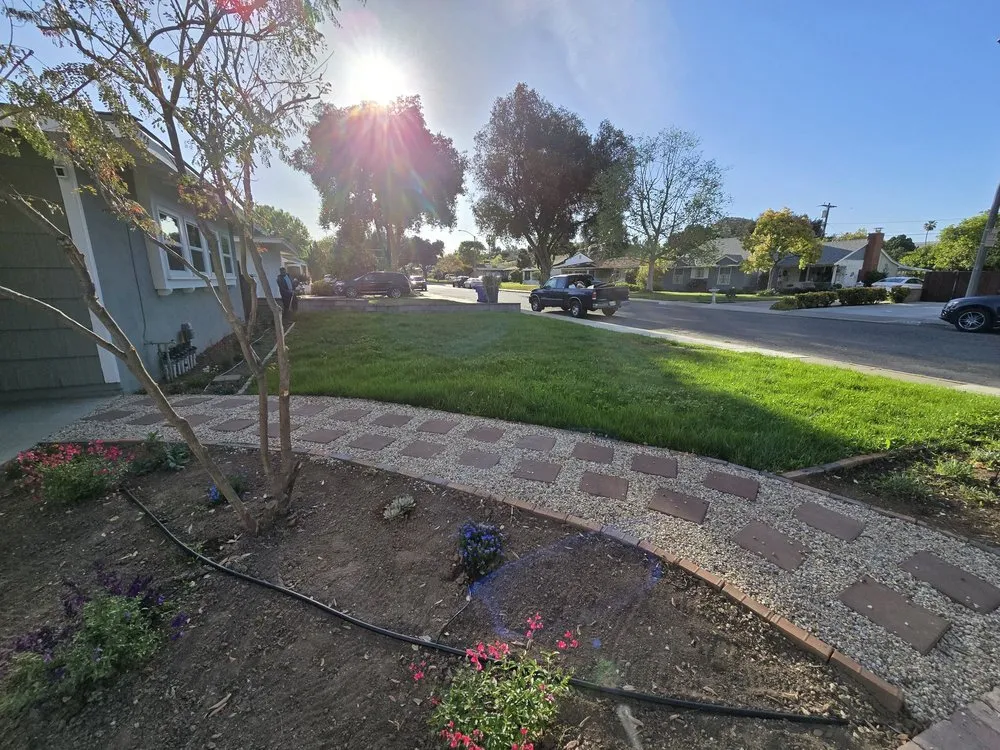 Expert yard cleanup service in Riverside, CA by Vicente Gardening Service