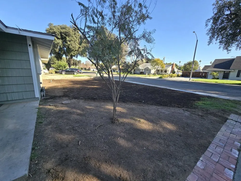 Local outdoor landscaping for year-round maintenance in Riverside, CA by Vicente Gardening Service