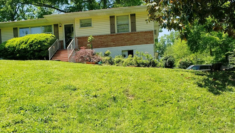 Trusted yard cleanup service for homes in Chattanooga, TN by Vicente Landscaping