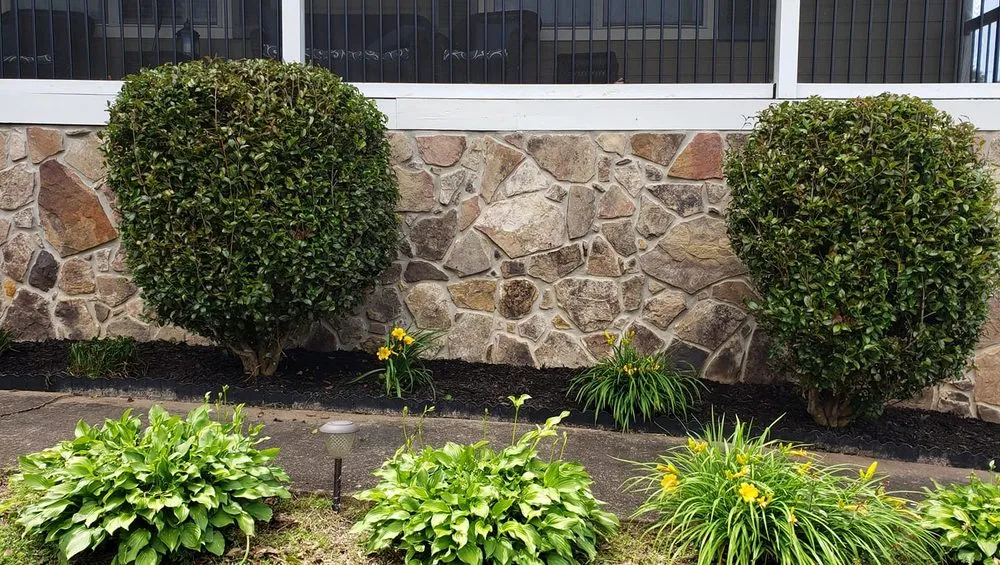 Local lawn care service for residential properties across Chattanooga, TN - Vicente Landscaping