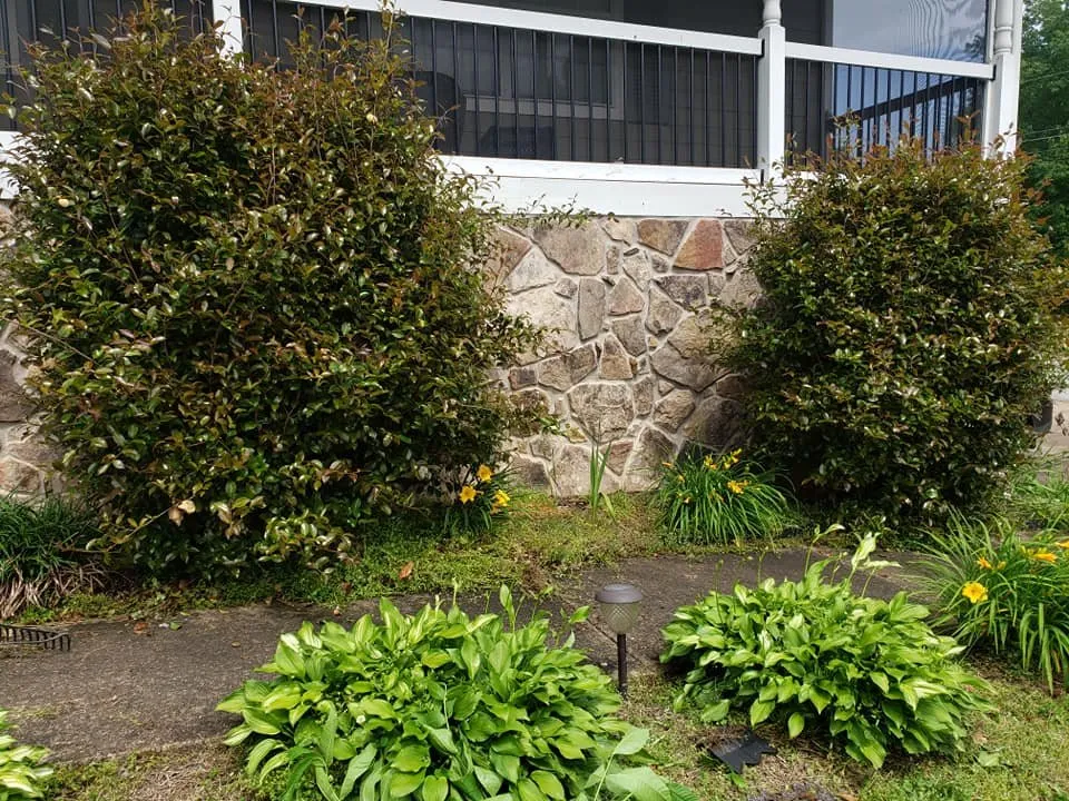 Expert garden landscaping with custom design across Chattanooga, TN - Vicente Landscaping