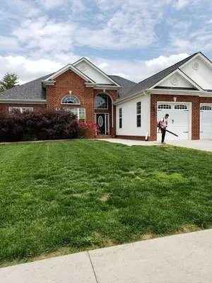 Vicente Landscaping Logo