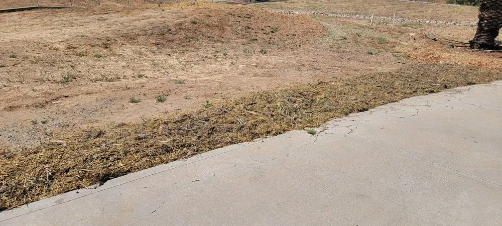 Local landscape installation in Watsonville, CA - Vicente Landscaping General Construction