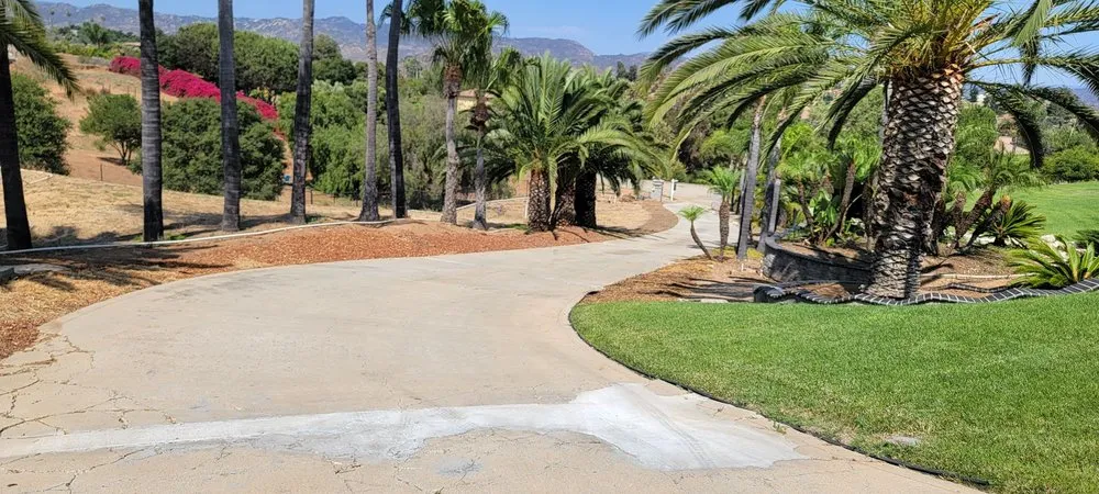 Custom lawn care service in Watsonville, CA - Vicente Landscaping General Construction