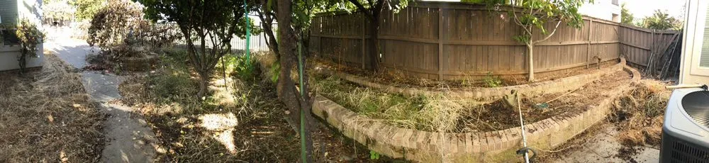 Professional lawn care service for homes across Sacramento, CA - Vicente Landscaping