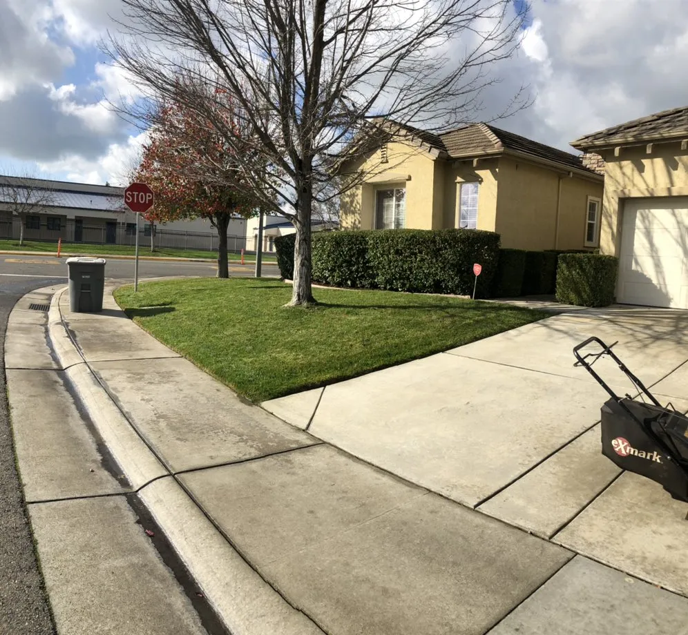 Local outdoor landscaping in Sacramento, CA - Vicente Landscaping