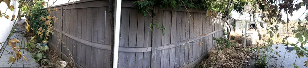 Affordable landscape design for beautiful yards in Sacramento, CA by Vicente Landscaping