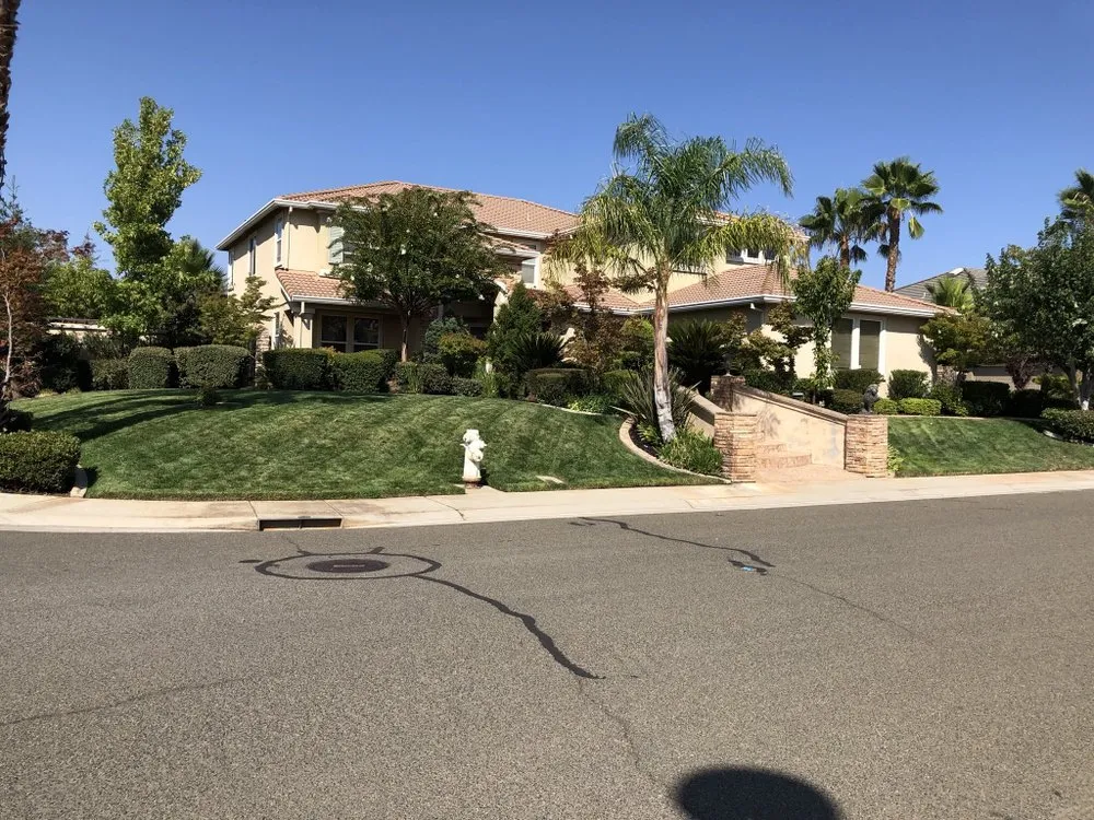 Top-rated landscaping services in Sacramento, CA by Vicente Landscaping