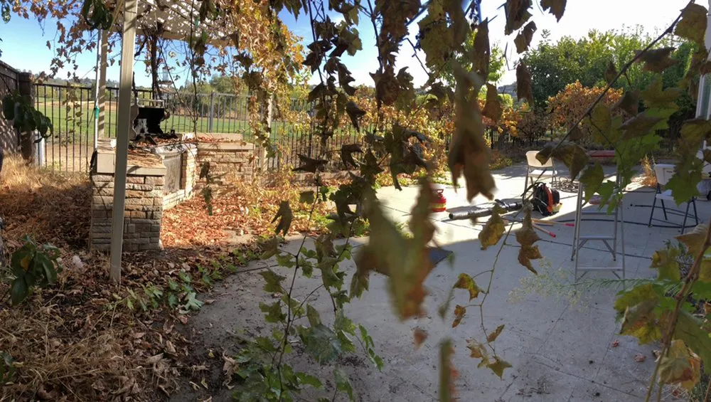 Top-rated yard cleanup service in Sacramento, CA - Vicente Landscaping