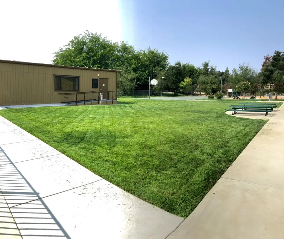 Professional lawn care service in Sacramento, CA by Vicente Landscaping