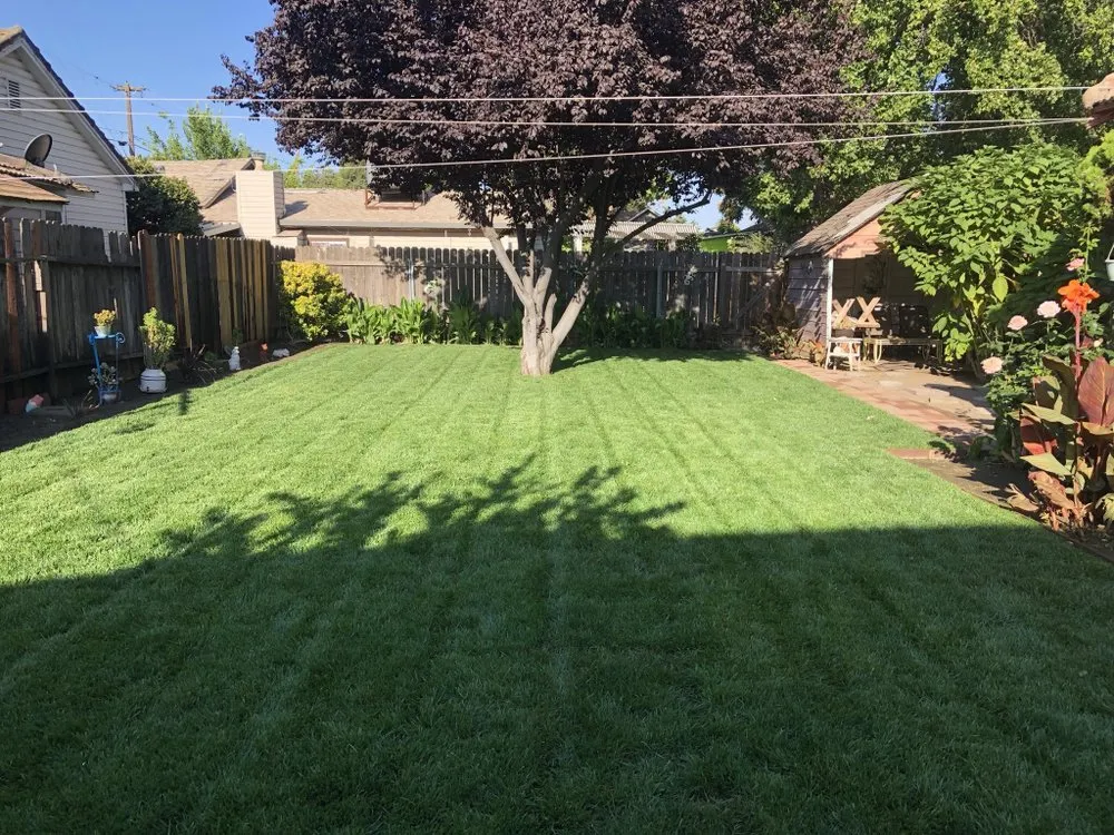 Custom landscaping services with custom design in Sacramento, CA by Vicente Landscaping