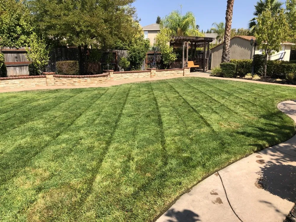 Professional yard maintenance for outdoor upgrades in Sacramento, CA by Vicente Landscaping