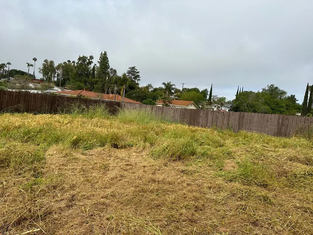 Top-rated landscape installation in Escondido, CA by Vicente Lanscape