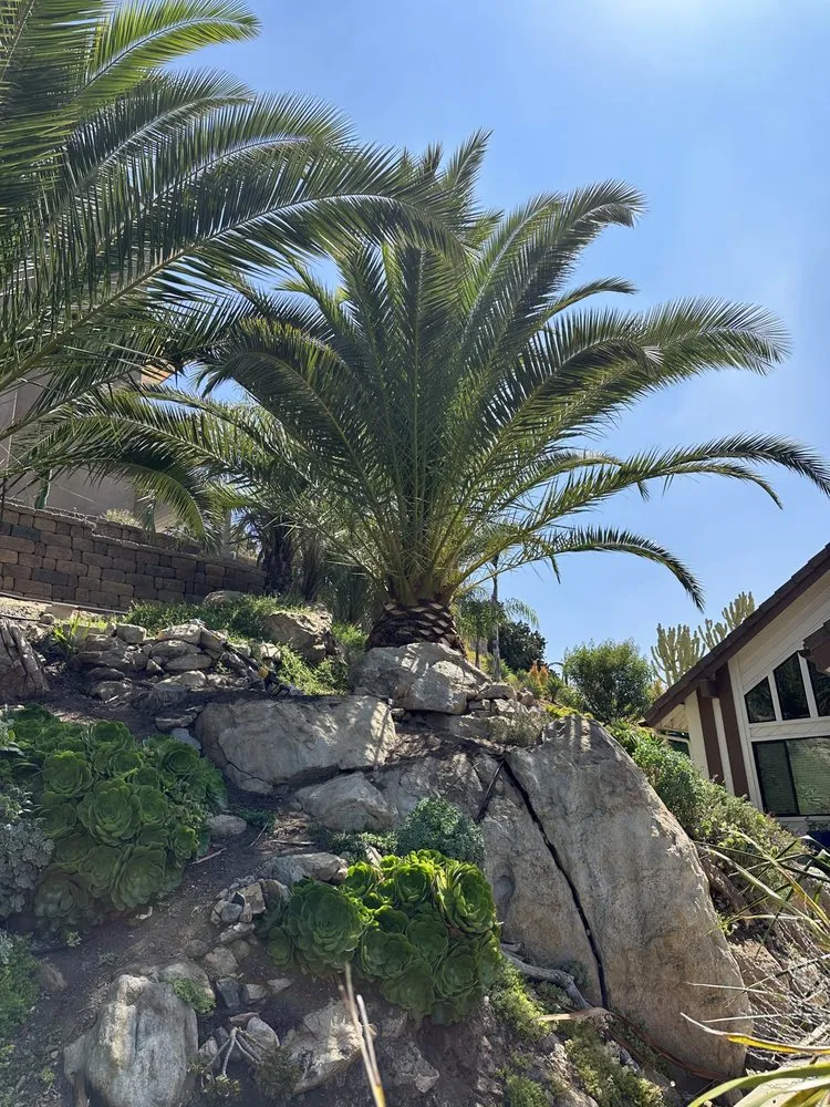 Professional landscape design in Escondido, CA - Vicente Lanscape