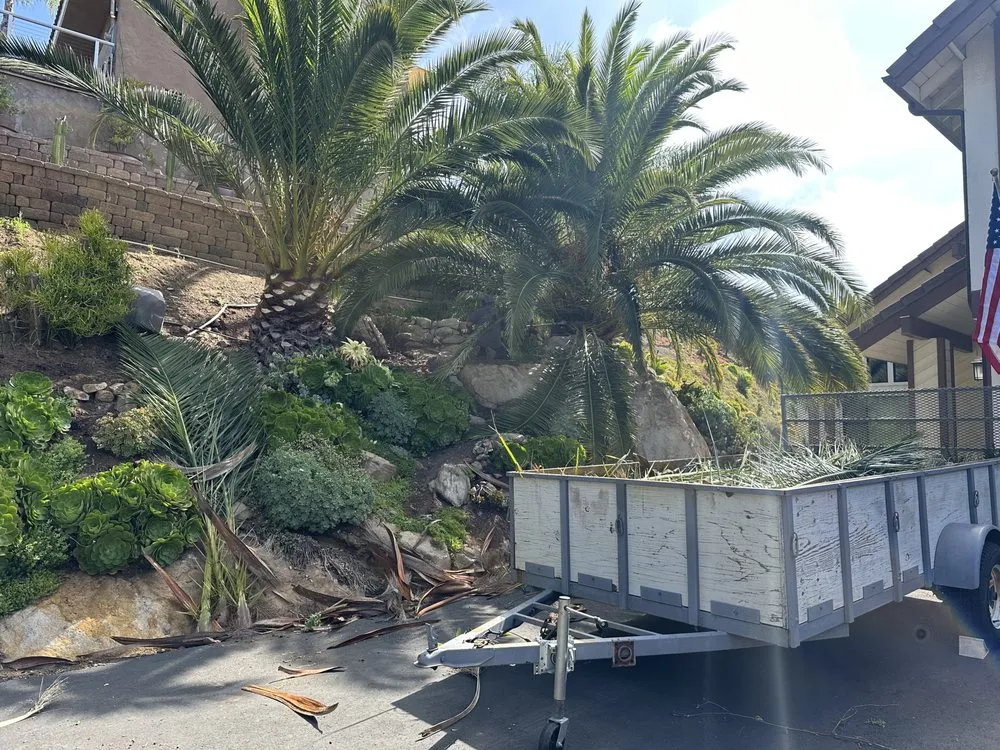 Reliable landscaping services experts serving Escondido, CA - Vicente Lanscape