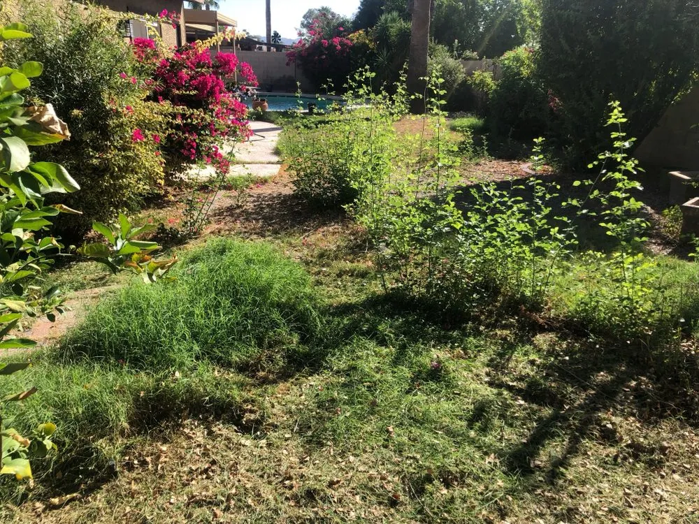 Custom residential landscaping with custom design in Phoenix, AZ by Vicente Lawn Maintenance