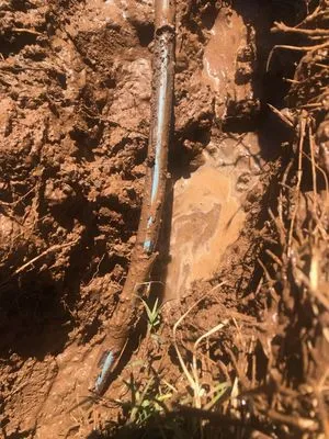 Vicente Lawn Maintenance Logo