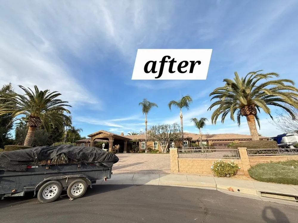 Top-rated landscaping services with custom design in Riverside, CA by Vicente Tree Services and Landscape