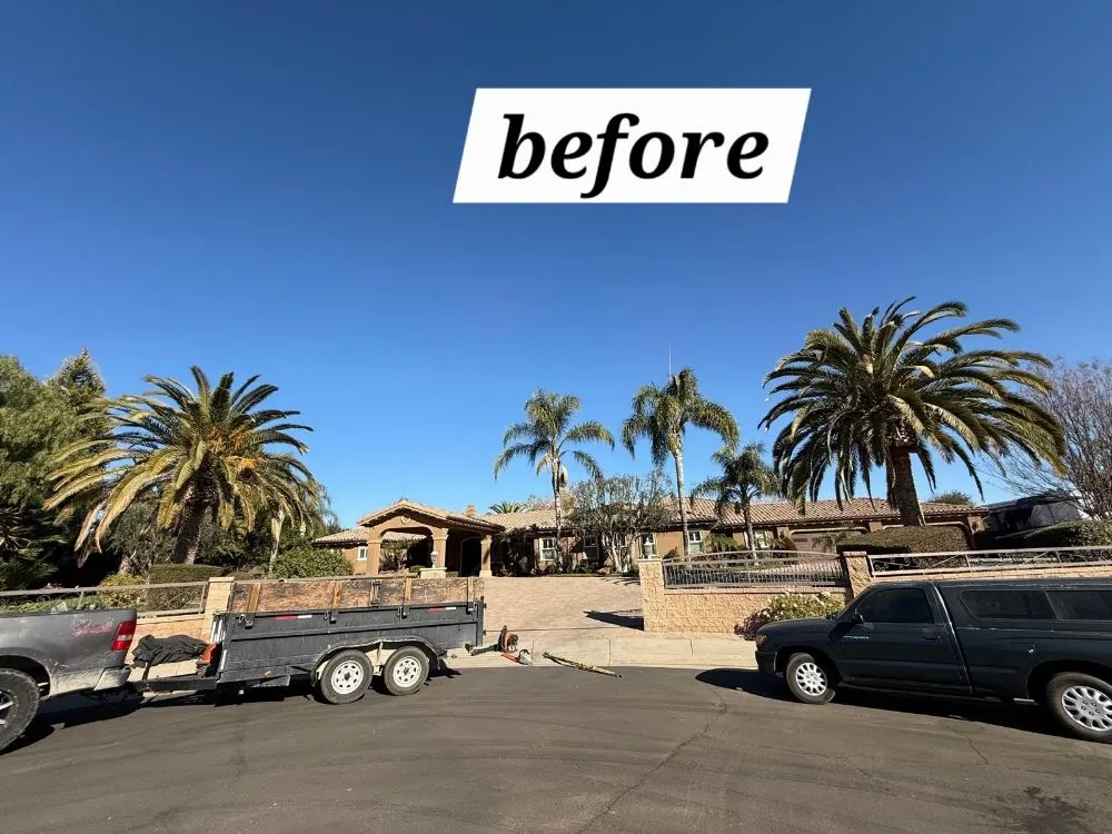 Reliable yard cleanup service in Riverside, CA - Vicente Tree Services and Landscape