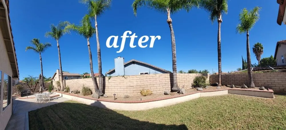 Custom yard maintenance for homes in Riverside, CA by Vicente Tree Services and Landscape