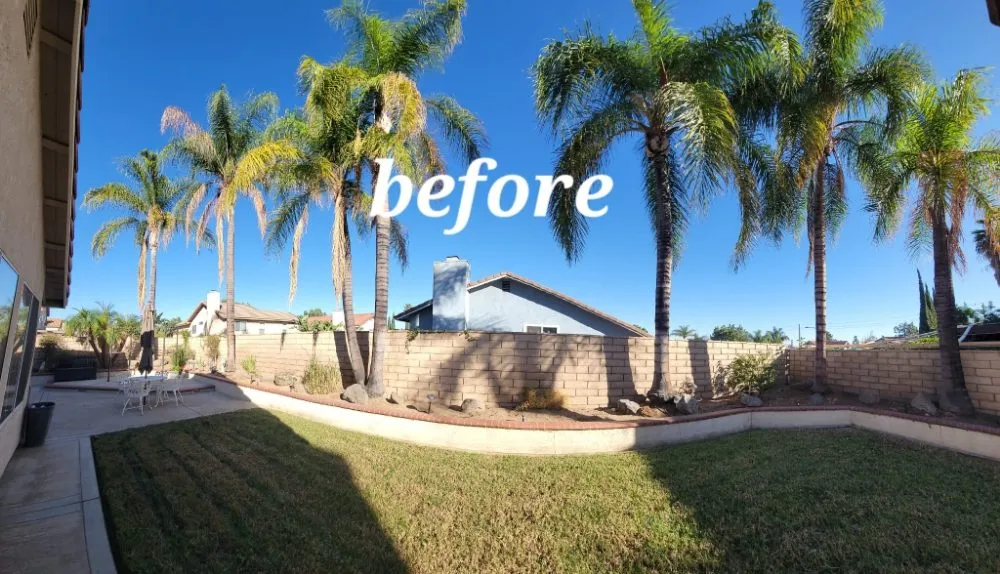 Local landscaping services for beautiful yards in Riverside, CA by Vicente Tree Services and Landscape