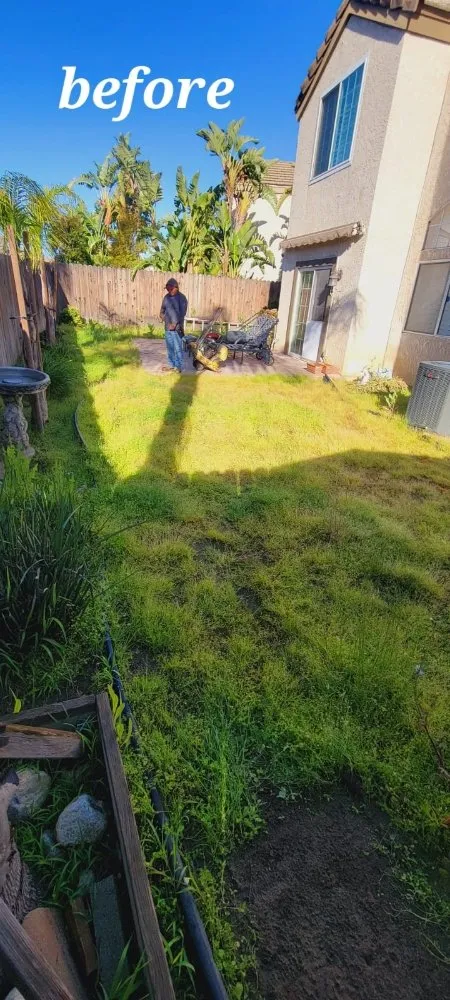 Trusted garden landscaping for outdoor upgrades across Riverside, CA - Vicente Tree Services and Landscape