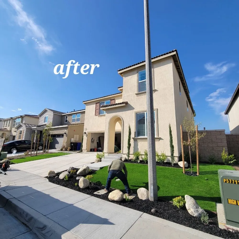 Top-rated outdoor landscaping experts serving Riverside, CA - Vicente Tree Services and Landscape