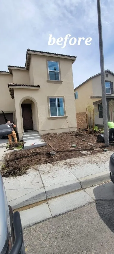 Expert landscape installation with custom design in Riverside, CA by Vicente Tree Services and Landscape