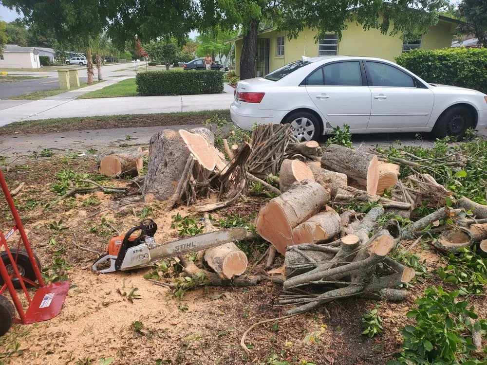 Expert outdoor landscaping for residential properties across Oakland Park, FL - Vicente Tree Services