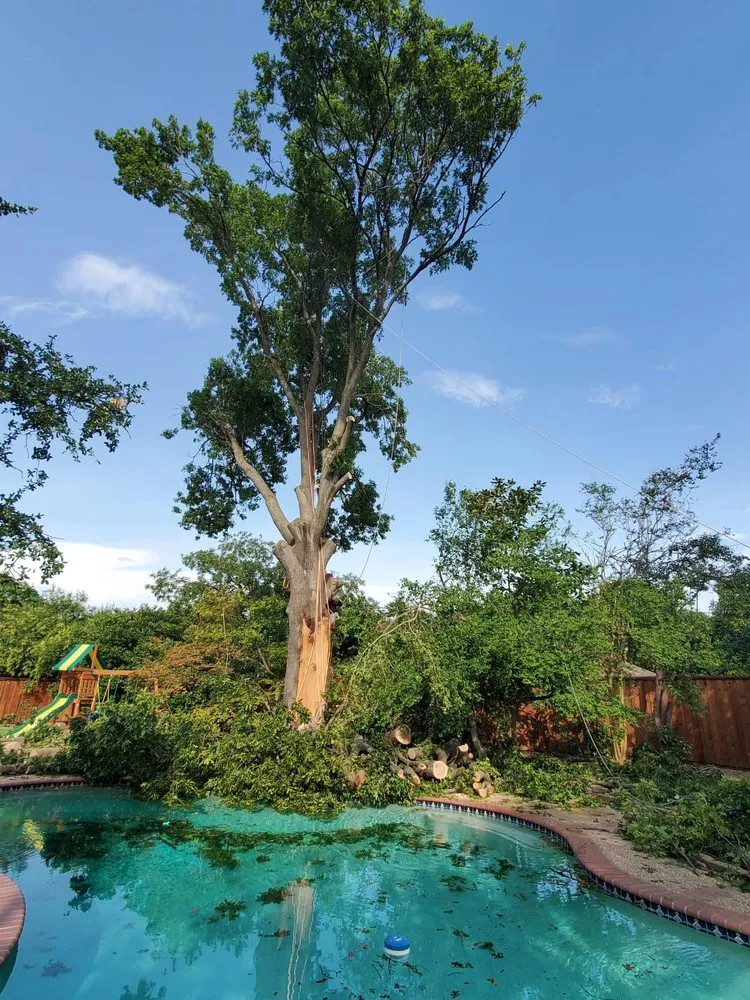 Custom garden landscaping experts serving Oakland Park, FL - Vicente Tree Services