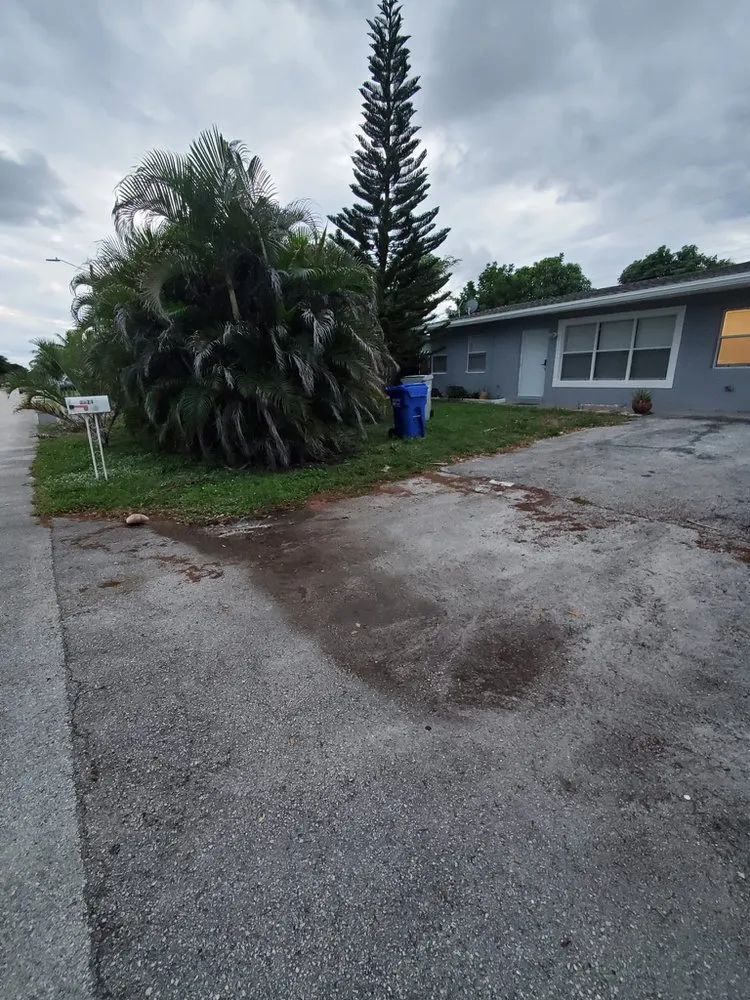 Custom landscape design experts serving Oakland Park, FL - Vicente Tree Services