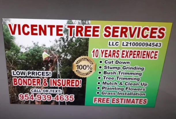 Expert lawn care service for beautiful yards in Oakland Park, FL by Vicente Tree Services