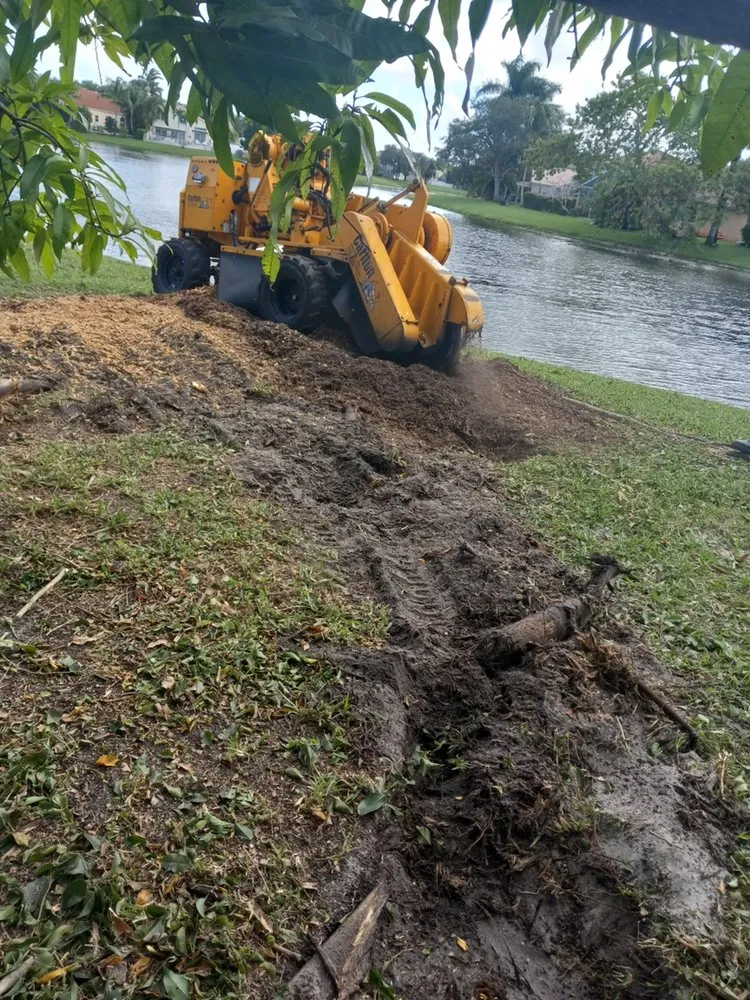Local yard cleanup service with custom design in Oakland Park, FL by Vicente Tree Services