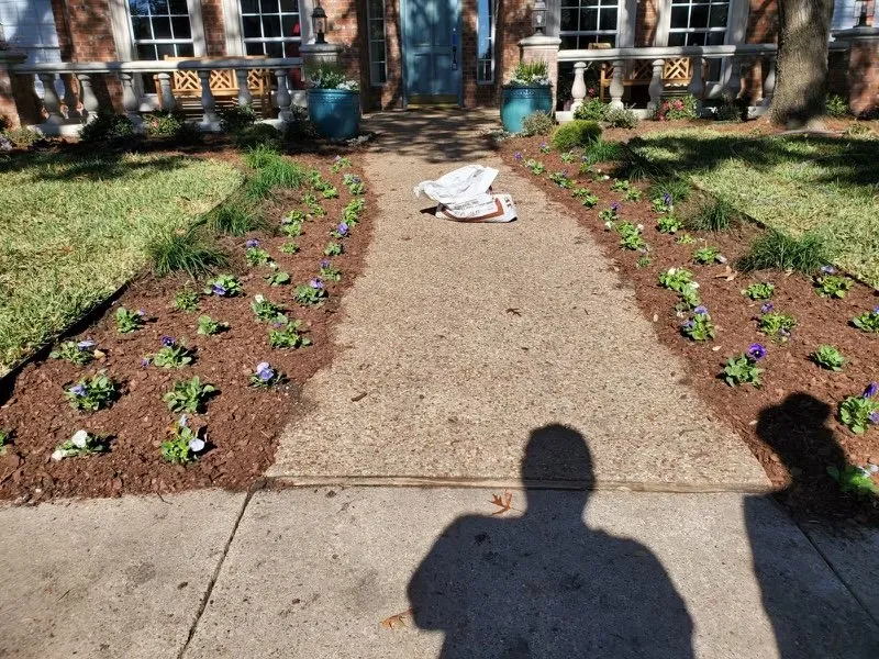 Expert lawn mowing service in Oakland Park, FL by Vicente Tree Services