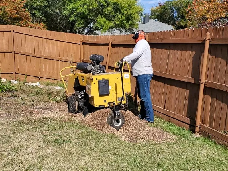 Trusted residential landscaping in Oakland Park, FL - Vicente Tree Services