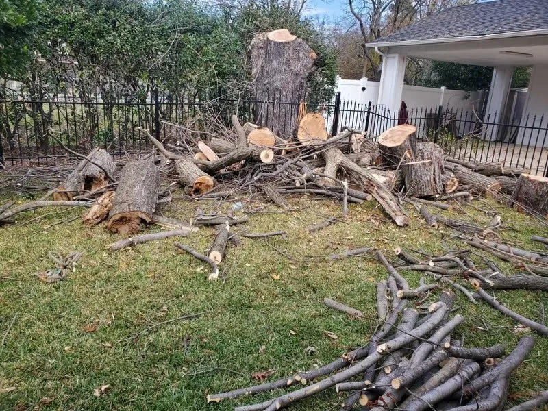 Professional yard cleanup service in Oakland Park, FL - Vicente Tree Services