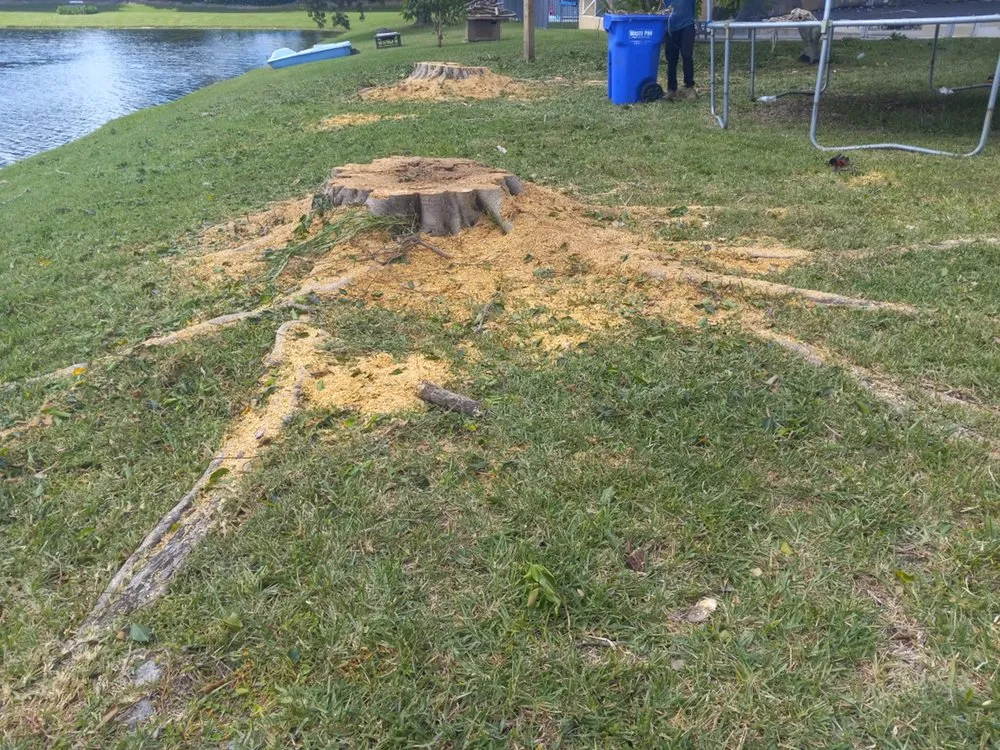 Local landscaping services experts serving Oakland Park, FL - Vicente Tree Services