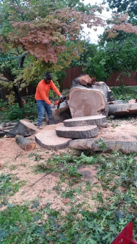 Professional residential landscaping for outdoor upgrades across Oakland Park, FL - Vicente Tree Services