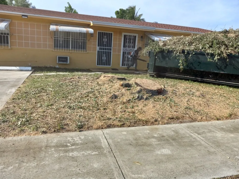 Affordable landscape design experts serving Oakland Park, FL - Vicente Tree Services