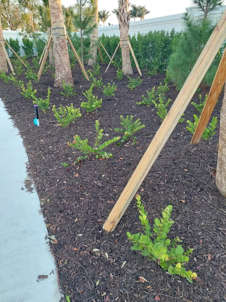 Trusted outdoor landscaping with custom design across Clewiston, FL - Vicente's Brothers