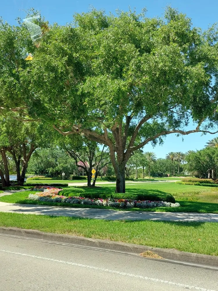Affordable landscape design for residential properties across Clewiston, FL - Vicente's Brothers