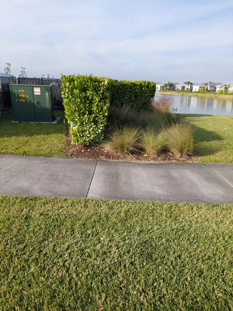 Reliable landscape design in Clewiston, FL by Vicente's Brothers