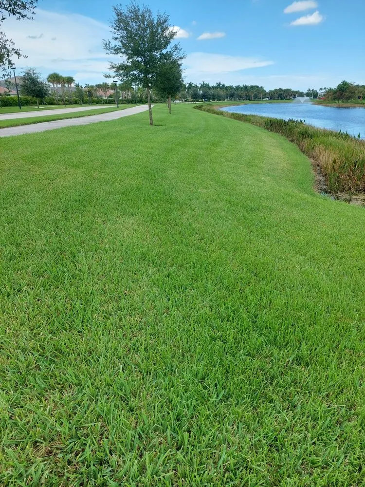 Trusted yard maintenance in Clewiston, FL by Vicente's Brothers